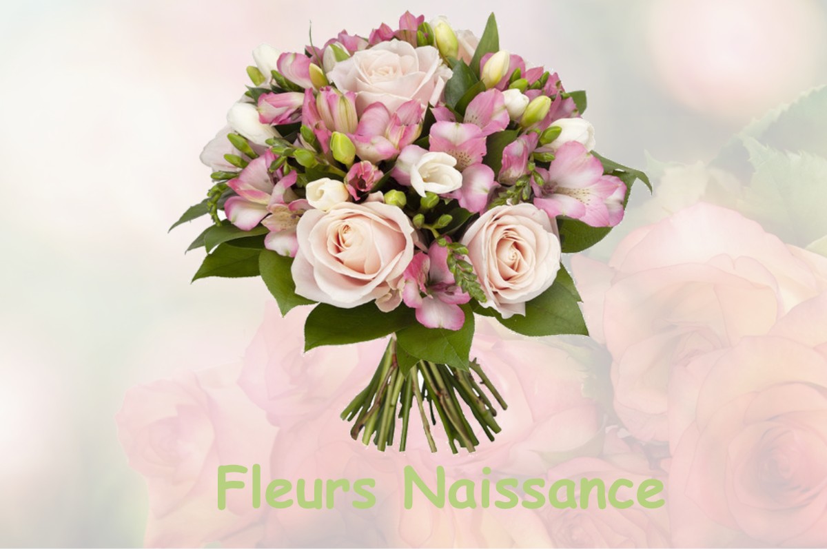 fleurs naissance BLAGNY-SUR-VINGEANNE